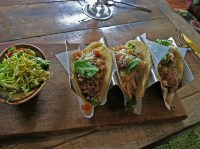 Mexican Sugar - Spicy Habanero Chicken Tacos