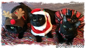 Christmas Cats