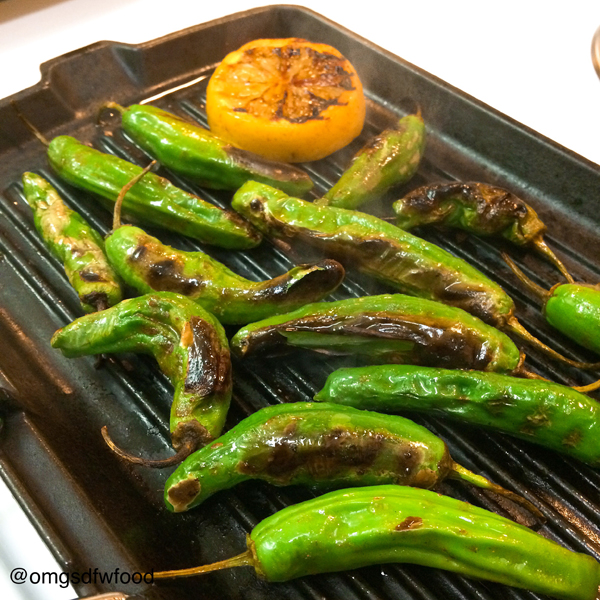 OMGs DFW Food - Grilled Skewers and Peppers 6