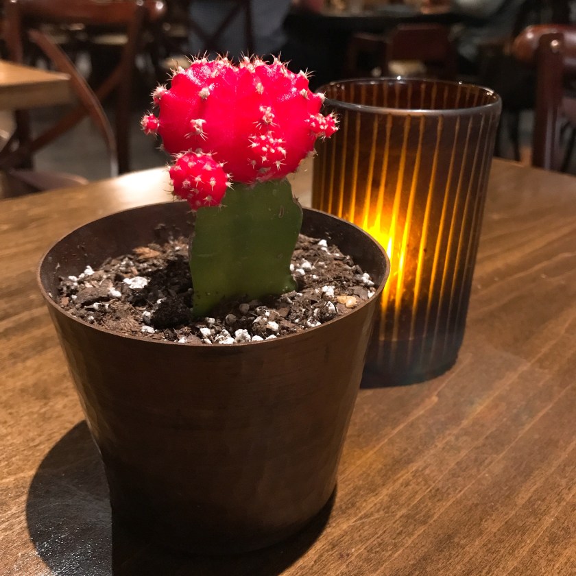 OMGs DFW Food - Meso Maya Cactus
